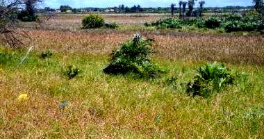 Terreno Urbano em Itaporanga D'Ajuda - Oportunidade Única
