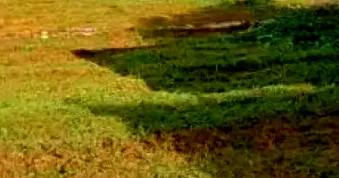 Terreno 6.699m² Desocupado