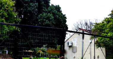 Prédios, Galpão, Piscina e Outras Benfeitorias em Terreno Amplo