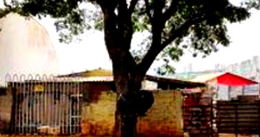 Residência em Maringá com 391,56m² de Terreno e 50m² Construídos