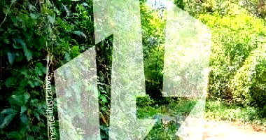 Terreno amplo com 1349m², ideal para investimento