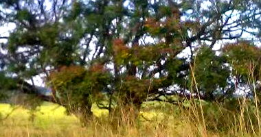 Terreno Urbano com 432m² em Umuarama/PR