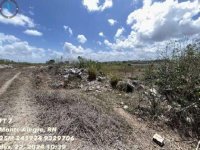 Terreno Amplo em Monte Alegre/RN - 6 Hectares