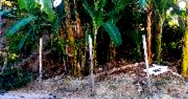 Terreno com 360m² em Ribeirão das Neves - Desocupado