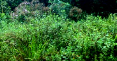 Terreno em Colônia de Férias em Itanhaém - Oportunidade Única