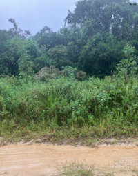 Terreno de 300m² em loteamento