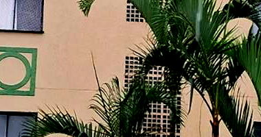 Apartamento Ocupado no Samaritá-A - Vila Matias, São Vicente