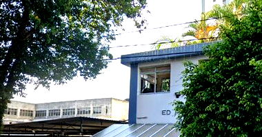 Apartamento 2 dormitórios com 1 vaga no Edifício Paineira