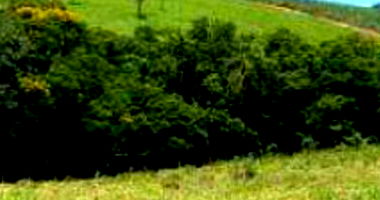 Área Rural com 248.897,00m² em Jaboti/PR - Ocupado