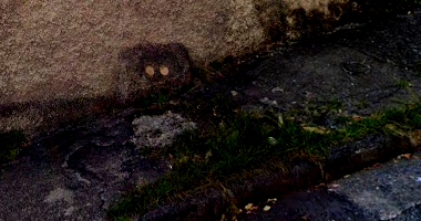 Terreno com Casas e Bar/Loja em Belo Horizonte/MG