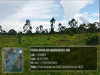 Fazenda Rural em Feira Nova do Maranhão MA -