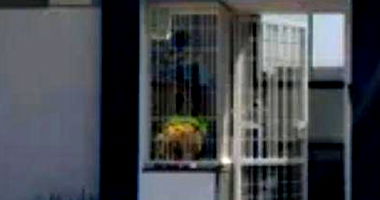 Casa com 4 dormitórios e área gourmet em Terra Roxa D'Oeste