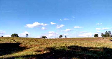 Terreno Rural de 3,65ha na Gleba Samambaia - Guarapuava/PR