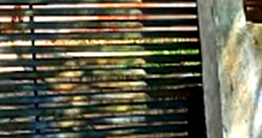 Casa com 362,81m² no Jardim Cidade Alta