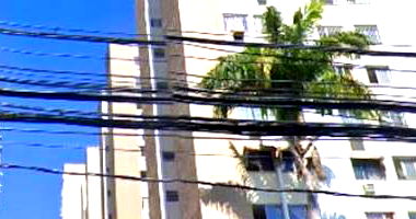 Apartamento Ocupado com 55m² em Engenho Novo, Rio de Janeiro