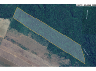 Fazenda com 99,73 hectares em Espigão D'Oeste