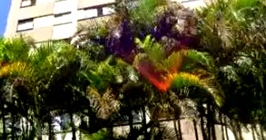 Apartamento 1 quarto, 1 banheiro, 1 vaga, 61m² útil, ocupado