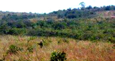 Imóvel Rural em Tiros/MG - Fazenda São Félix