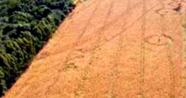 IMÓVEL RURAL COM ÁREA DE 137.893m2 EM ARARUNA-PR