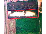 Chácara com 1,00 hectare, desocupada e cercada