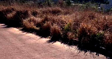 Terreno com 300,25m² em Ponta Grossa - PR