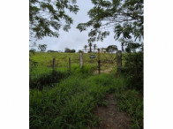 Chácara com 1,058 hectares em Lagoa Seca/PB