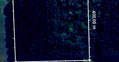 Área Rural com Eucalipto em Guatambu/SC