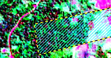 Área Rural de 57,31 ha, ocupada, ideal para investimento