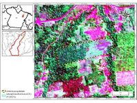 Área Rural de 57,31 ha, ocupada, ideal para investimento
