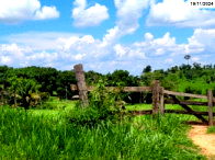 Sítio com 4,84 hectares, pastagem para bovinos, desocupado