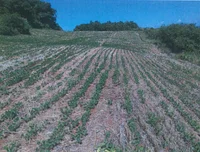 Lote Rural com 50.000m² em Crissiumal/RS