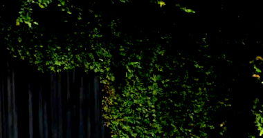 Casa com 443,92m² no Jardim Tenerife