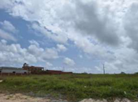 Imóvel Rural com 108,91 ha em Ponta de Pedras