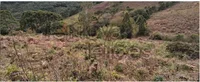 Terreno Rural 10 hectares em Cerro Negro/SC - Oportunidade Única!