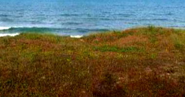 Terreno Amplo em Nísia Floresta - RN com 1.800 m²