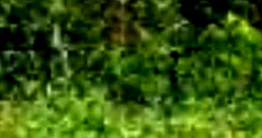 6 Terrenos no Jardim das Acácias, totalizando 2.352,73 m²