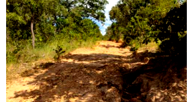Fazenda com 237,50 hectares em Cocos/BA