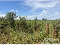 Chácara com 1,96 ha em Vilhena/RO, ideal para investimento rural