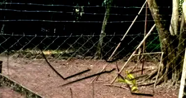 Área de terras com 173,60m² em Santa Cruz do Sul/RS