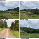 Área de 72.600 m² em Teutônia/RS, sem benfeitorias