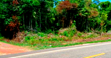 Terreno Amplo em Santa Bárbara do Pará