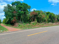 Terreno Amplo em Santa Bárbara do Pará