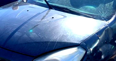 Renault Sandero EXP 16 2012 Ocupado