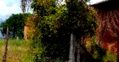 Terreno Amplo em Telêmaco Borba