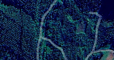 Área Rural com 1.643.000 m² em Ibirama SC