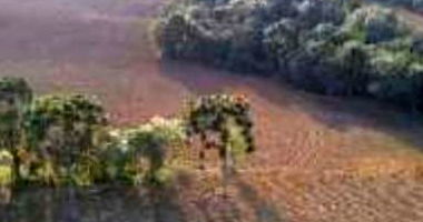 Terreno Rural com 291,08 ha em Antonio Olinto - PR