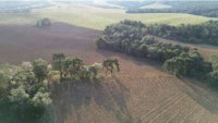 Terreno Rural com 291,08 ha em Antonio Olinto - PR