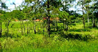 Imóvel Rural de 1.148.600m² em Guaramirim/SC