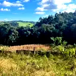 Imóvel Rural de 6.590m² em Nova Alvorada