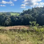 Imóvel Rural de 6.590m² em Nova Alvorada